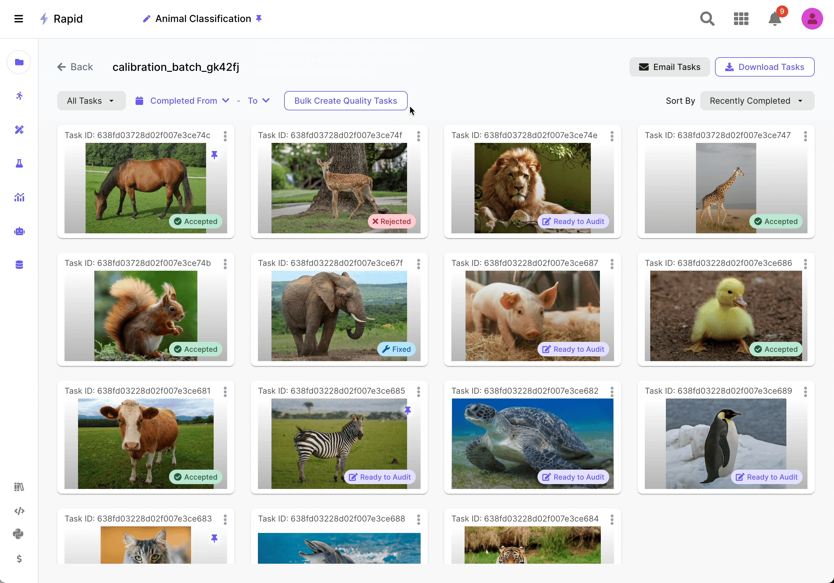 Scale AI Auditing Process for labeled tasks